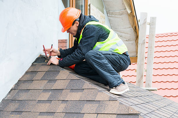 Best Roof Gutter Cleaning  in Sandston, VA